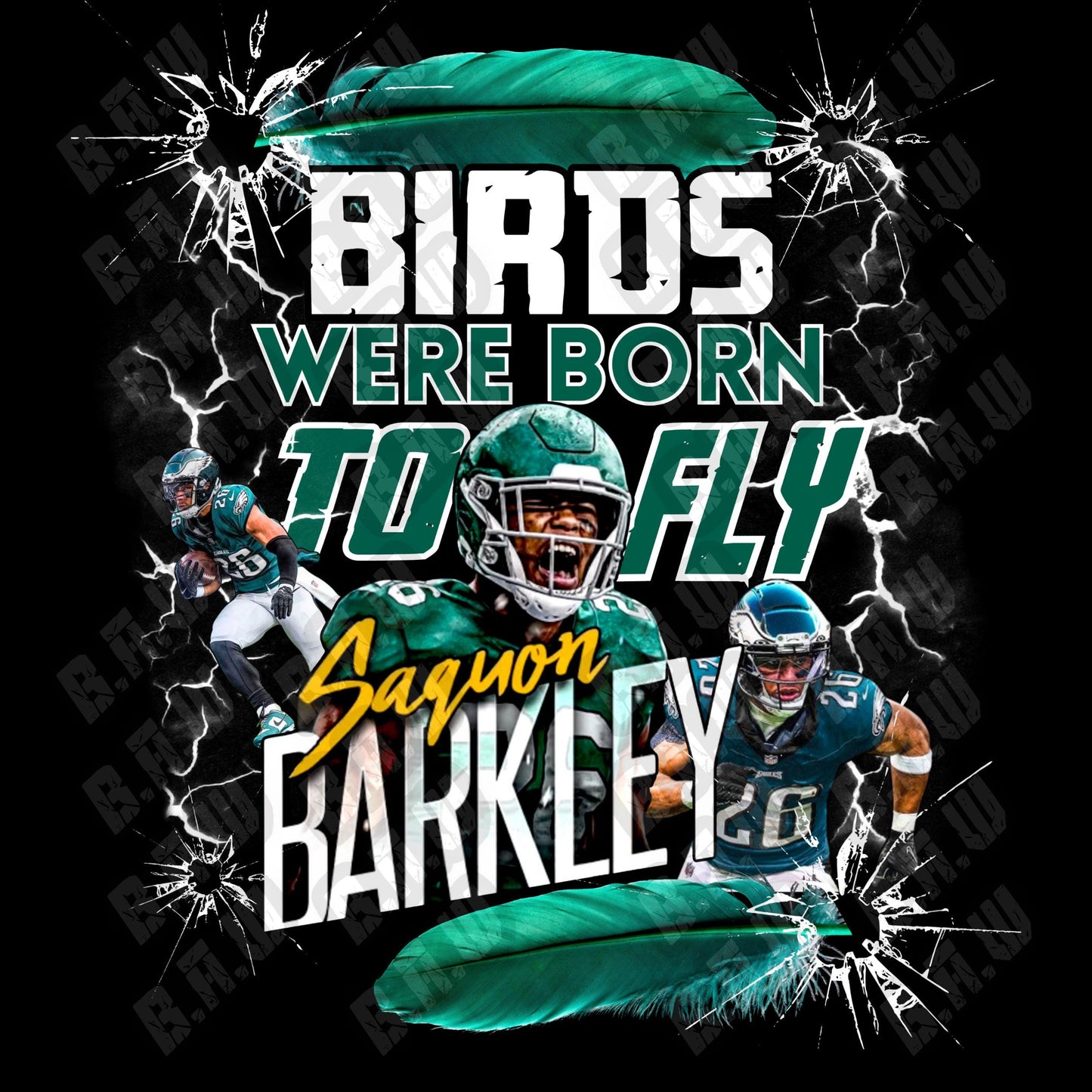 Birds Were Born To Fly - Philadelphia Football Fans Inspired High Quality DOWNLOADABLE PNG - for Sublimation DTF DTG Uvdtf Printing