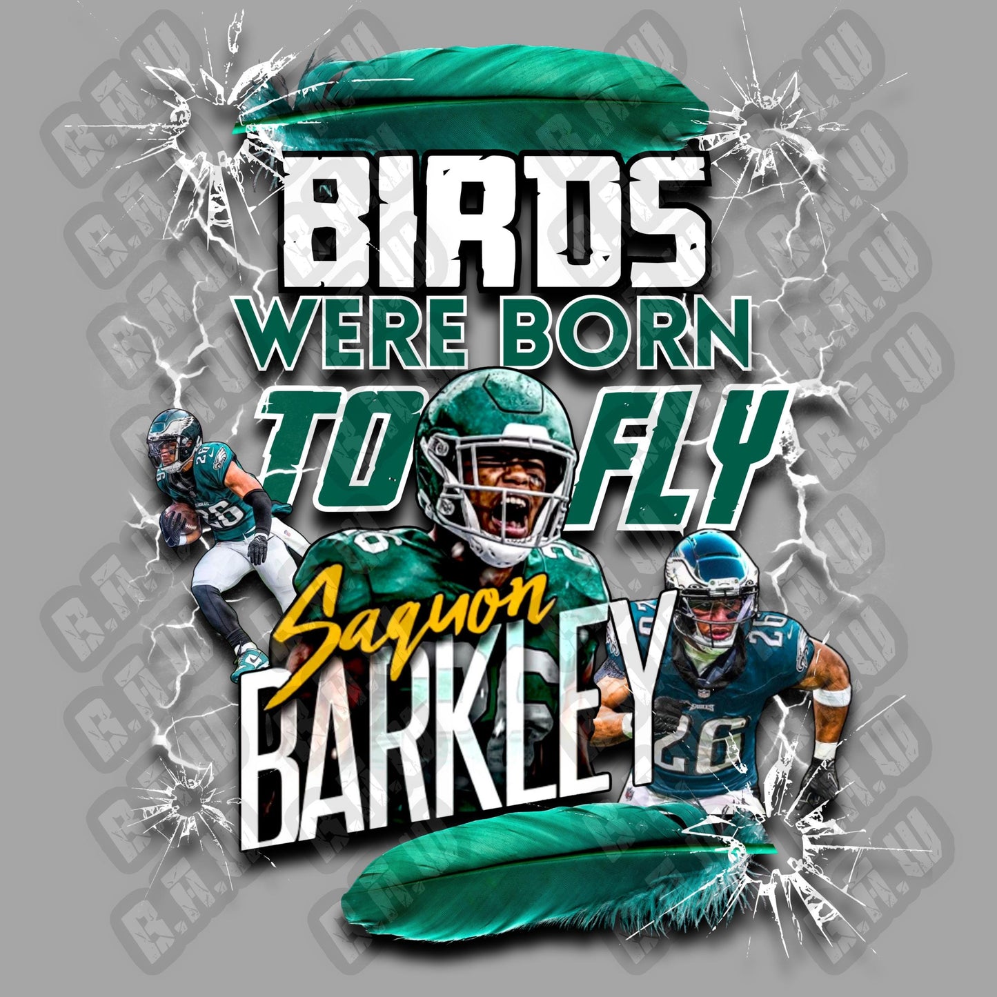 BIRDS WERE BORN TO FLY - Saquon Barkley Eagles Football Fan Sweatshirts!!